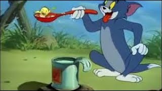 Tom and Jerry - Phim hoạt hình Tom và Jerry - 