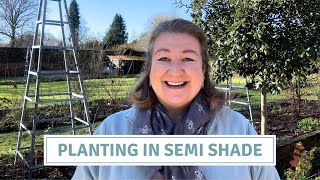 Planting In Semi Shade On The Top Border // Cottoverdi
