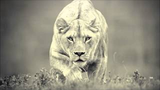 Cabin Fever UK Feat Evasion - Strangest feeling