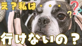 フレブルを預けて宮崎行ってきた✈️