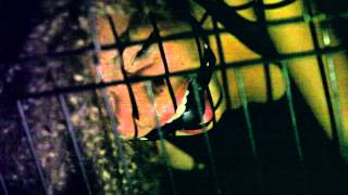 ASAP LOTTO - ANYWAYS (OFFICIAL VIDEO)