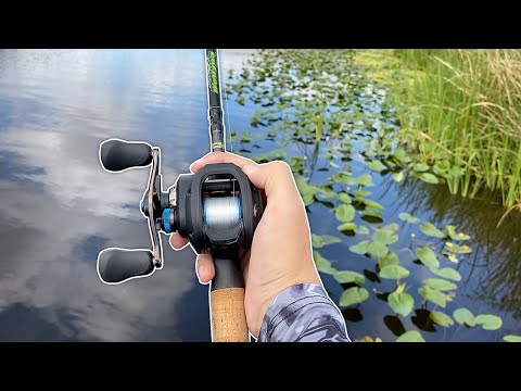 The BIGGEST Bass I've Ever Seen!! (Craziness)