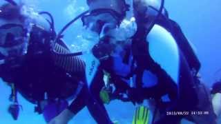 preview picture of video 'First Dive Ever in Akumal Mexico getting our Open Water PADI Certification'