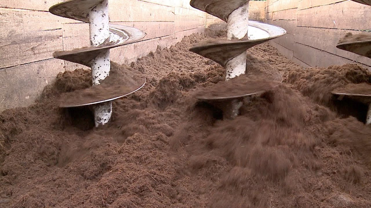 Compostagem de resíduos de palmito