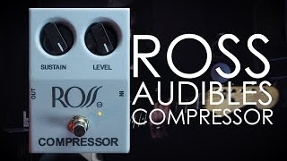 Video thumbnail for Ross Audibles: Gray Compressor by Demos In The Dark