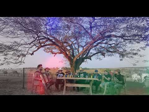 PRA TER O SEU AMOR / MARCA EVIDENTE - Zé Ricardo e Thiago + Traia Véia + Kelvin e Gustavo (só áudio)