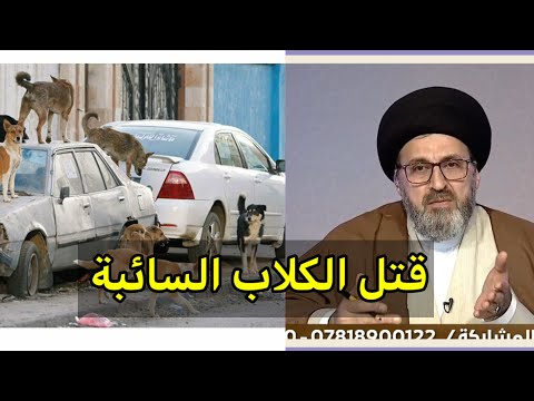 , title : 'متصل هناك كلاب سائبة مؤذية هل يجوز قتلها وتخلص منها / سيد رشيد الحسيني'