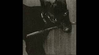 Download lagu BEAT RAP BOOM BAP 'Cerbero' HIP HOP USO LIBRE - [Prod. Rancio] mp3