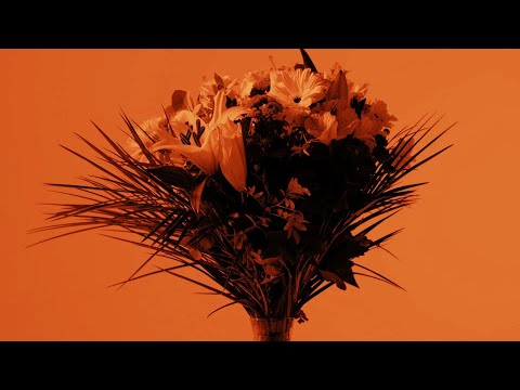 Ozono (Con Adriano Danzziani)