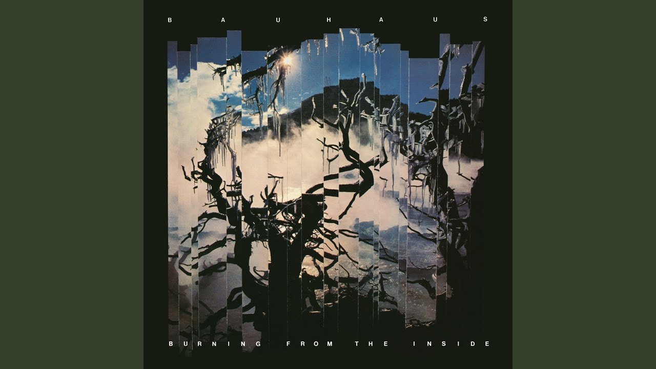 Bauhaus - Who Killed Mr. Moonlight