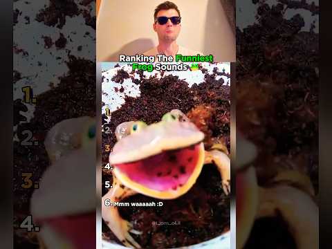 Top 6 Frog Sounds That Made Us Laugh Out Loud!