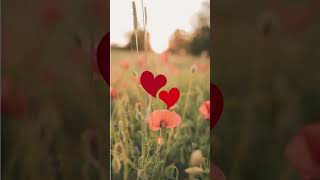 Preciso te contar uma coisa meu amor #amor #mensagemdeamor #teamo