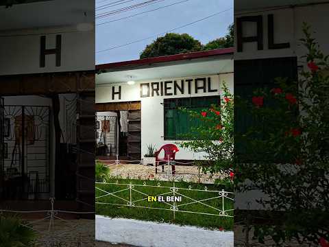 SORPRESA | Esto encontré en un hotel de Rurrenabaque