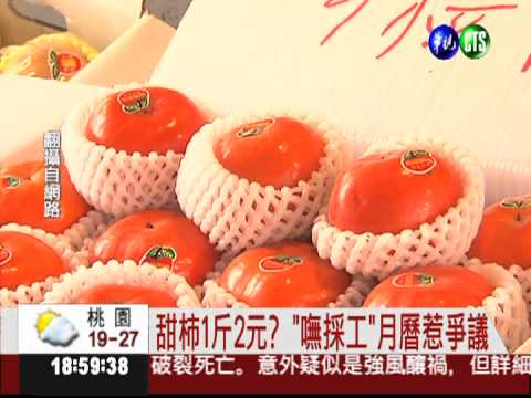 "嘸採工"傷果價 "2元甜柿"罵翻天