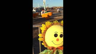 Seasonal Adventures Pumpkin Patch Murrieta