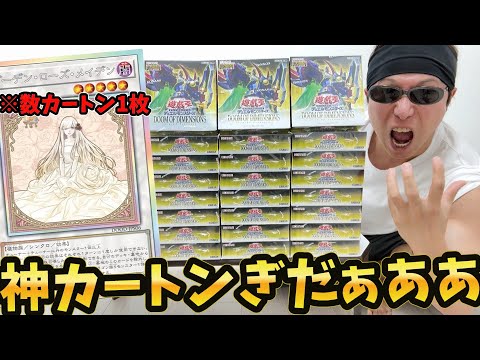 【遊戯王】新弾「DOOM OF DIMENSIONS」の鬼畜封入率で話題の幻の極秘レア「ガーデンローズメイデン」絵違い狙って１カートン開封した結果ｯｯ・・！！！！！！！！！！！！