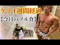 【フル食】ケトジェニ1週間経過【ダイエット】