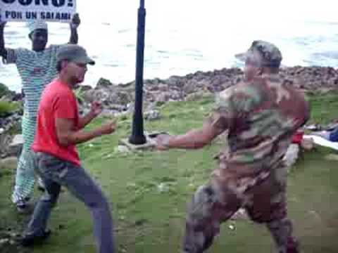 Ladrones A Domicilio