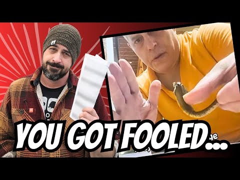 Breaking: Jeff Leibowitz / Taipan Bite Update (with receipts) and So Much More...