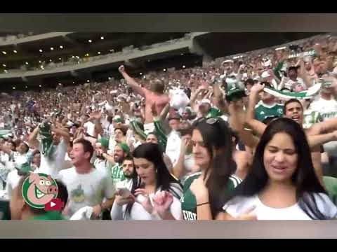 Top 8 músicas cantadas pela MANCHA  VERDE