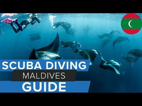 Scuba Diving Maldives Travel Guide w/ @AggressorAdventures #scuba #maldives