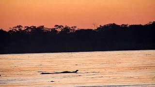 preview picture of video 'Sunset in the Madre de Dios river'
