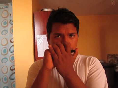 Himno 204 Oh cantadmelas otra vez - armonica