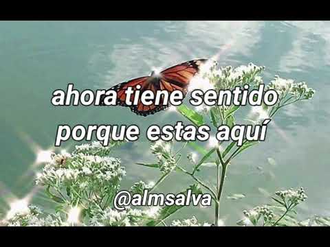 A Tu Manera-Travi Joe feat.Jay Kalyl (letra) 💫