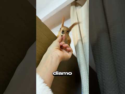 La festa di patatine piccanti per i miei piccoli amici! 🔥🍟🎉🐥#shorts