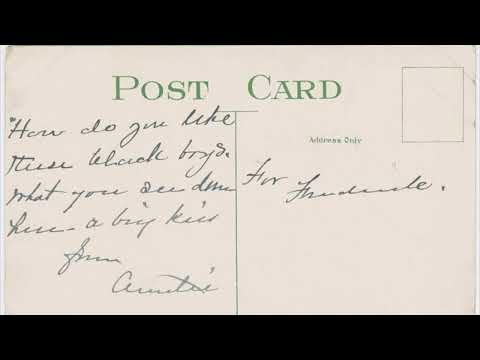 Alligator Bait • Florida Everglades