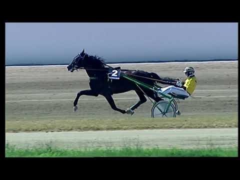 Napoli Trotto 12/06/2021 - 3ª corsa