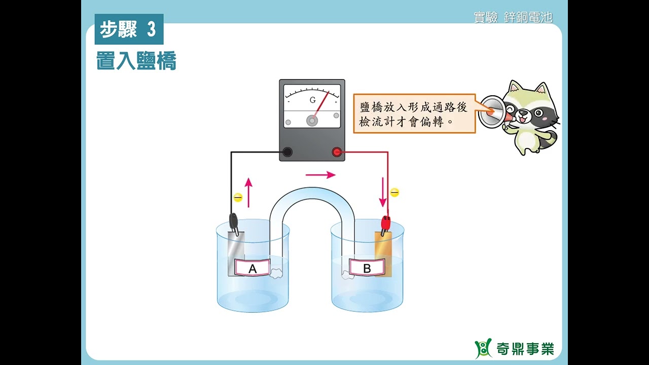 實驗6：鋅銅電池