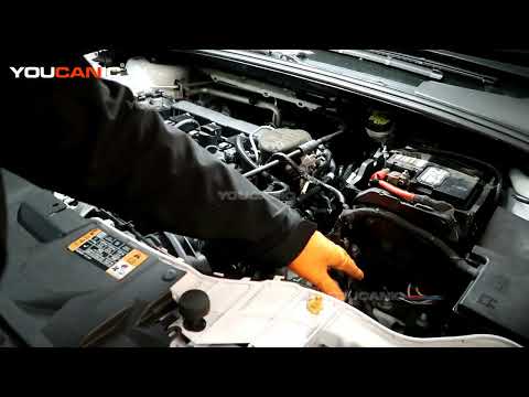 2012-2019 Ford Focus – Battery Replacement