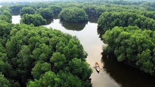 Levina and Henry "A Jakarta Love Story"