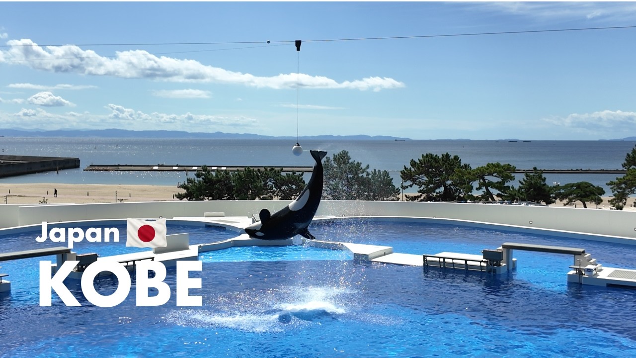 神戸観光 vlog｜シャチパフォーマンスと南京町・元町グルメを一日で巡るモデルコース 4K