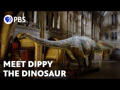 大衛-愛登堡與恐龍成為朋友 (David Attenborough Befriends a Dinosaur)