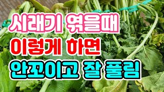 시래기 이렇게 엮으면 걸어놨을때 획획 돌아가지 않아요. 처음엔 헤깔림 하다보면 알아요^^
