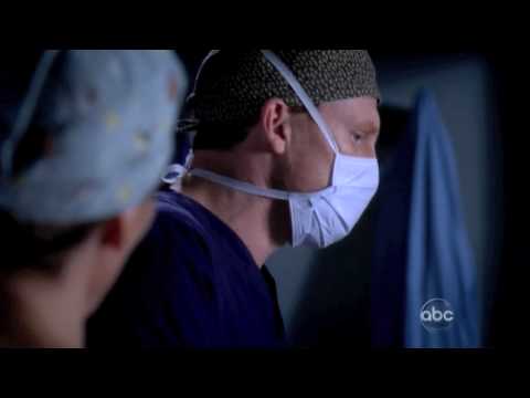 GA 6x14 Teddy & Owen