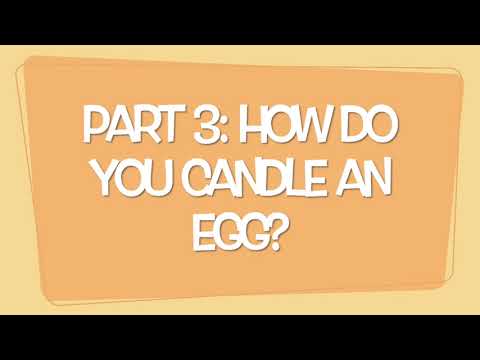 2) How to Handle the Egg Candle Video Screenshot