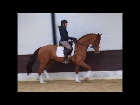 DIAMONDS AND PEARLS 4j. St. Dr. Watson - Locksley II VB 7.500,- Euro