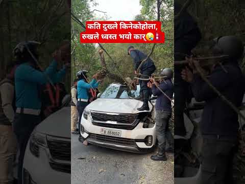 कति दुख्ले किनेकोहोला, रुखले ध्वस्त भयो कार्😪🇳🇵 #nepalicommunity #automobile #nepali