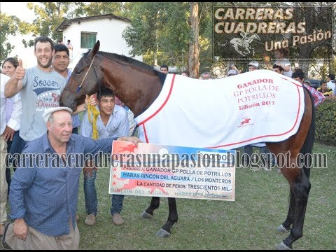JEROTEO RYON RDA - Final Polla de Potrillos RDA-LM - 30.07.2017