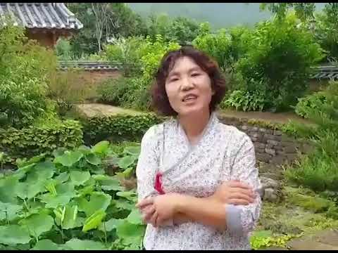 Excursão Gyeongsangbuk-do