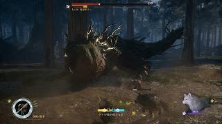 初期ステ縛り ノーダメ 腐食体ヌェ 前哨戦2 Beast of Reincarnation