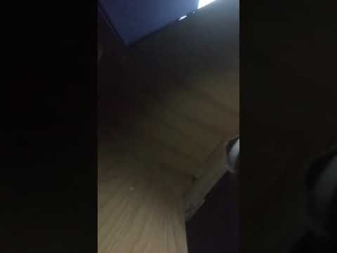 playboyQUAN#playboy#PbQuan