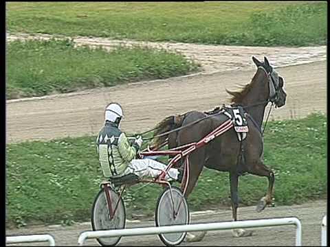 Trotto 20/05/2016 - 2° corsa