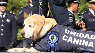 Policía Federal jubila a perros policía