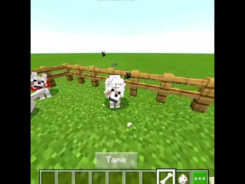 Rising Demon - How To Summon Any Types Wolf In Minecraft | A New Amazing Hack In Minecraft || #shorts || #minecraft