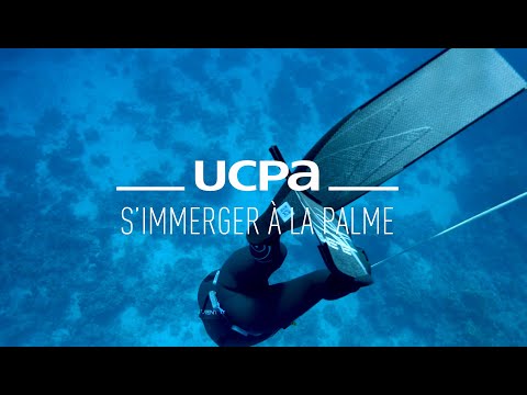 Tutos apnée #7 - Comment s'immerger à la palme