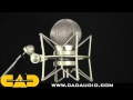 CAD Audio C195 Video #1